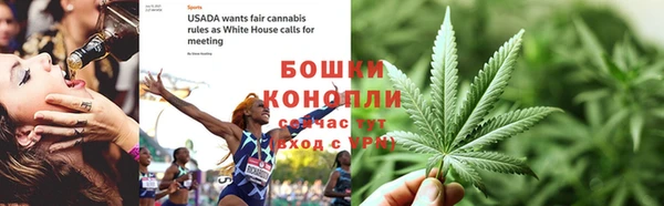 мяу мяу кристалл Дмитриев